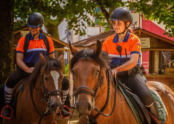 Deux bénévoles de la Protection Civile du Tarn sur le dos des cheveaux de la brigade équestre