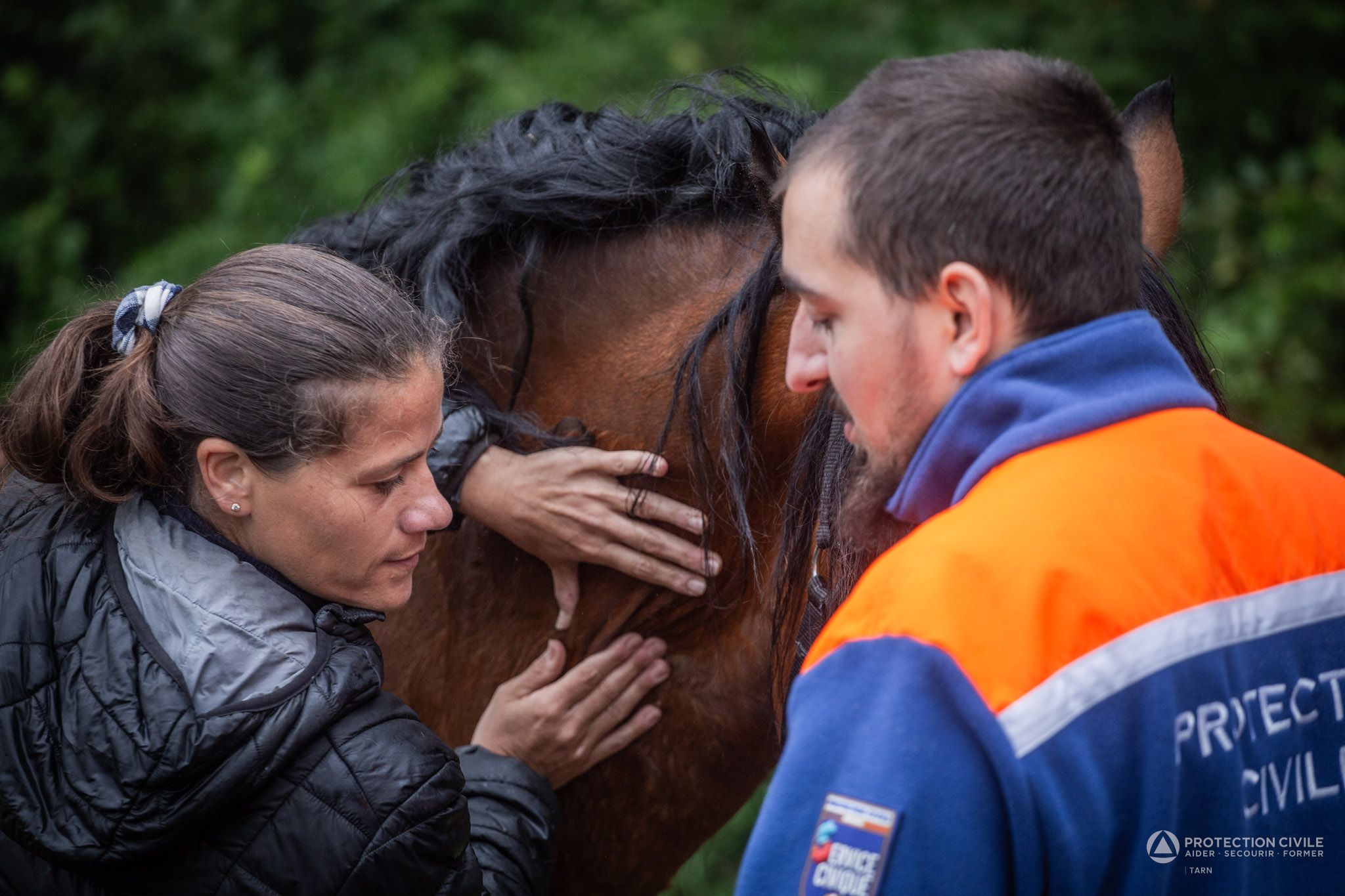 bénévoles qui caressent un cheval